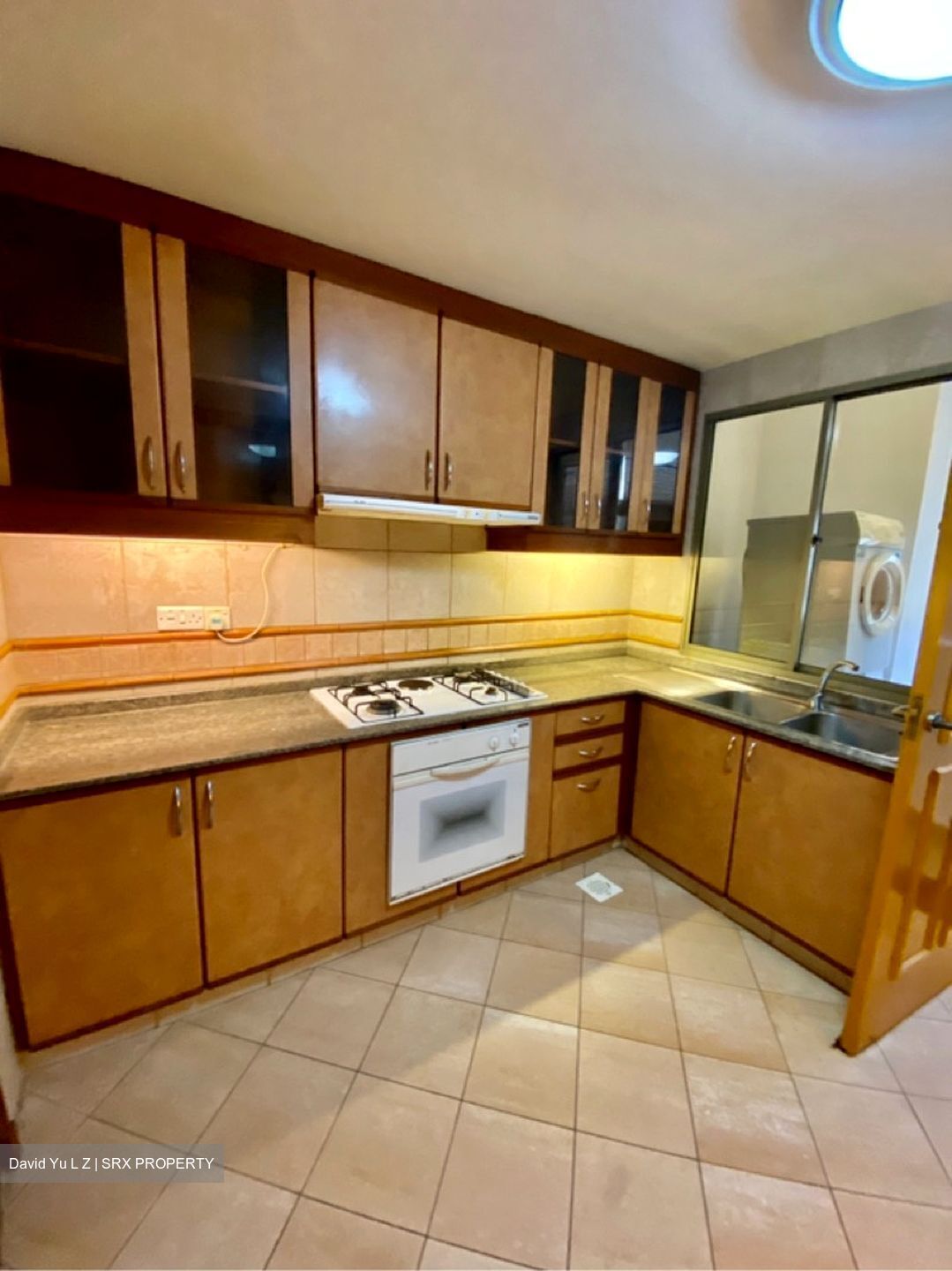 Cavenagh Lodge (D9), Apartment #629631001